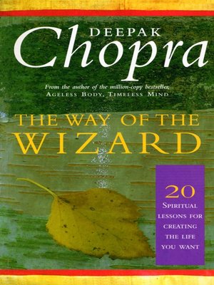 cover image of The Way of the Wizard